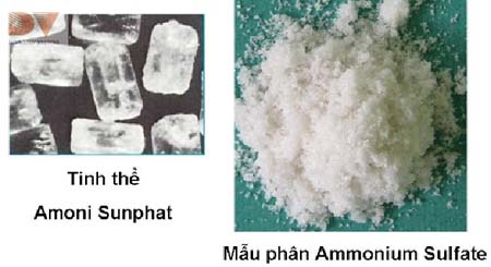Amoni Sunphat