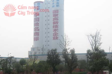 Một nhà máy phân bón tháp cao của Trung Quốc (tháp đôi)